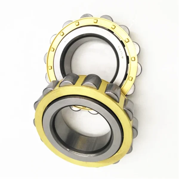 Cylindrical Roller Bearings 502210H RN210M for Generator RN210 EM 50*80.4*20mm